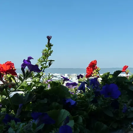 Strand-hotel 3*